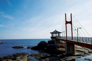 东海在哪，东海在哪里属于哪个省