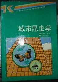 什么叫正版