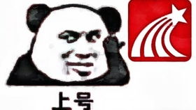 去上网