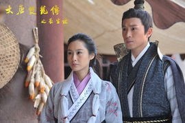 大唐双龙传，大唐双龙传小说