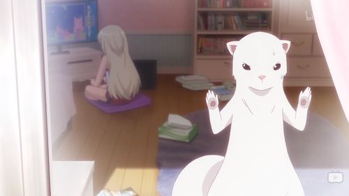 鸭居燕，鸭居燕为什么戴眼罩