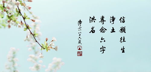 悟心是什么意思