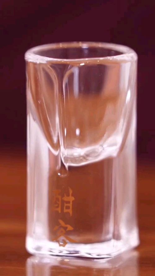 一杯敬朝阳，一杯敬朝阳,一杯敬月光,一杯敬明天,一杯敬过往