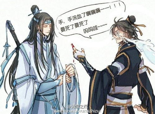 念情(魔道祖师衍生同人文-羡澄)九