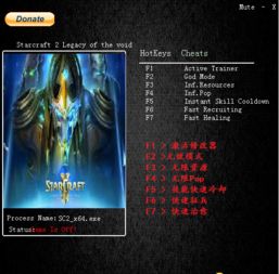 星际争霸2修改器，星际争霸2修改器怎么用