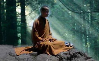 禅大师