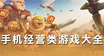 经营类单机游戏，经营类单机游戏电脑