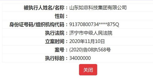 公开执行信息网，国家公开执行信息网