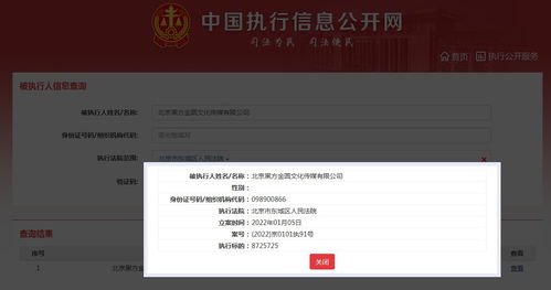 中国执行信息公开网个人查询