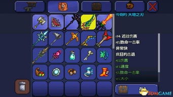 泰拉瑞亚战士毕业饰品,泰拉瑞亚战士毕业饰品搭配