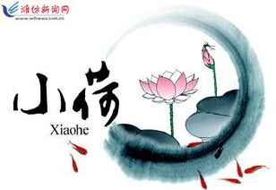 美无处不在，美无处不在只是缺少发现美的眼睛