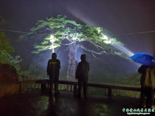 云岭先锋夜校怎么接收信号