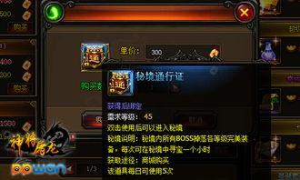 完美国际寻宝上买账号能用信用卡吗