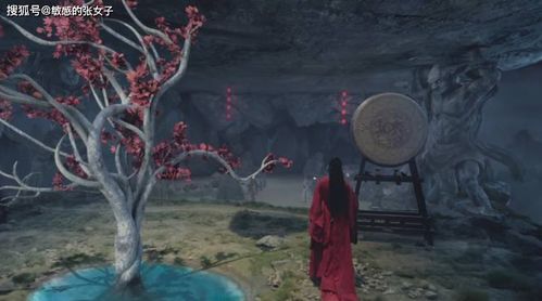 天涯浪客，天涯浪客书写图片