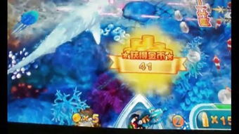 海之魂，海之魂艺术学校