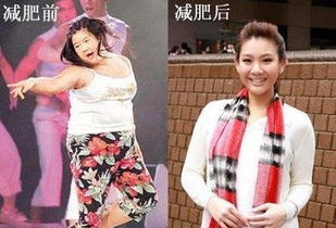 哪些明星减肥后的样子,秒杀了你的想象力?