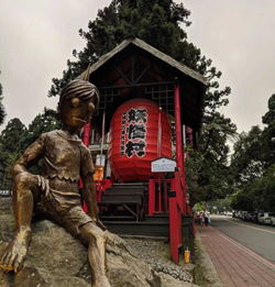 奉纳，奉纳御魂能得什么