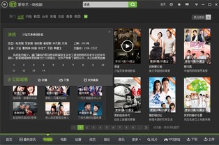 奇艺播放器,电脑版爱奇艺播放器