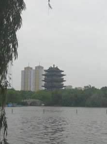 天下泉城和江北水城分别指?