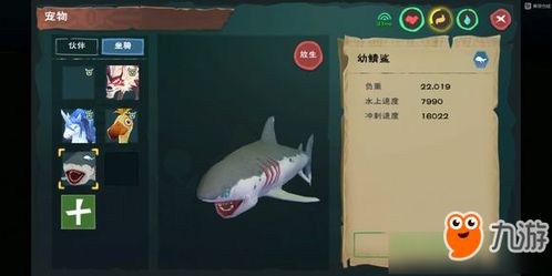 创造与魔法幼鲭鲨，创造与魔法幼鲭鲨位置