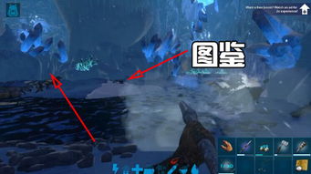 方舟孤岛有几个神器