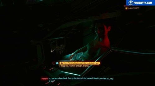 赛博朋克2077帕南攻略，赛博朋克2077帕南可以睡几次