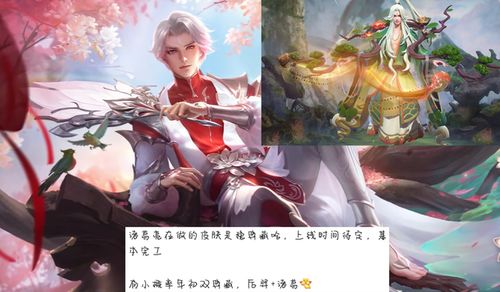 王者荣耀典藏皮肤诸葛亮和李白的哪个值得入手?大家有建议分享吗?_百度