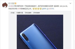 19年小米是第几代