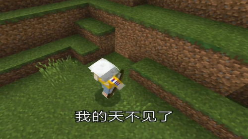 我的世界隐藏方块，我的世界隐藏方块大全图鉴