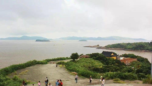 象山东门岛有寄居蟹吗