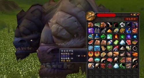 请问魔兽世界上剥皮专业中(虚空龙皮`眼镜蛇皮`风鳞)哪里能剥到啊?_百