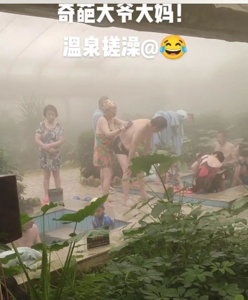 唐泽寿明的资料