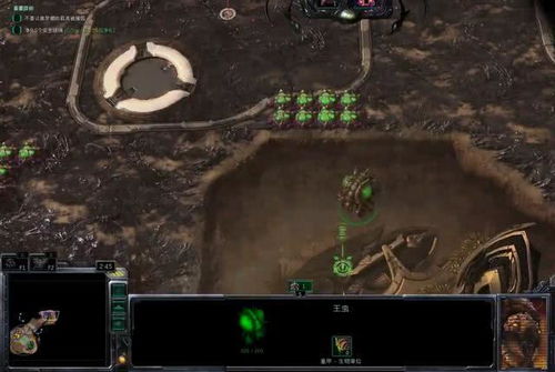 星际争霸1秘籍，星际争霸1秘籍怎么输入
