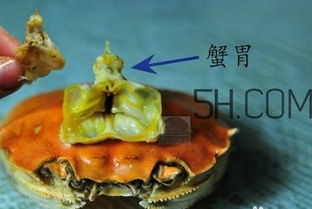 螃蟹的屎在哪里，螃蟹的屎在哪里图片