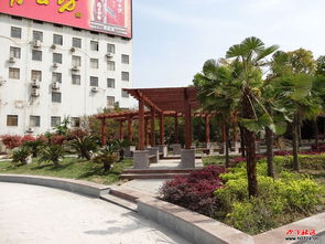 沙洋社区网