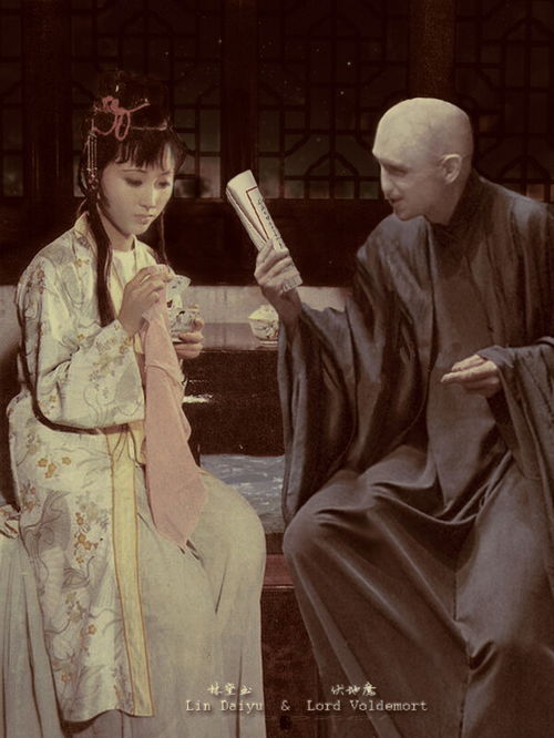 伏地魔林黛玉，伏地魔林黛玉cp起源