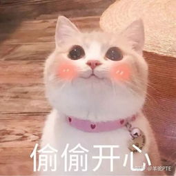 羊驼教育面试是不是非常严格