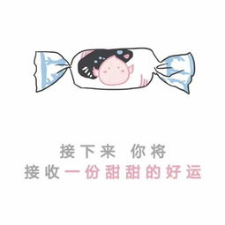 怎样都喜欢，怎样都喜欢小说全文免费阅读