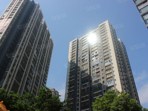 华住旗下美居和美仑哪个好