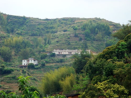 山中小屋