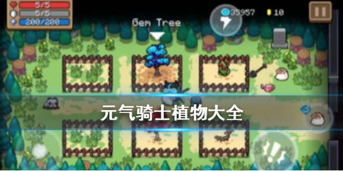 元气骑士6大最强植物