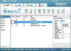 鼠标连点器怎么用?