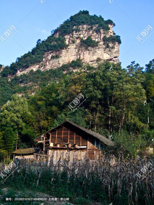 孤岛惊魂4山中小屋在哪