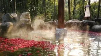 湖北生态工程职业技术学院地址在哪里,哪个城市,哪个区?