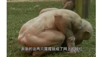 非礼勿视3