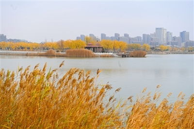 金秋时节,景色宜人,层林尽染,叠翠流金什么意思