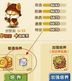 宝宝斗场怎么挖宝