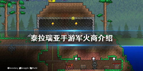 泰拉瑞亚军火商入住条件，泰拉瑞亚军火商入住条件要什么枪