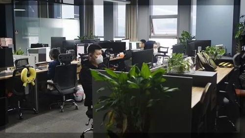 螺舟工作室，螺舟工作室微博