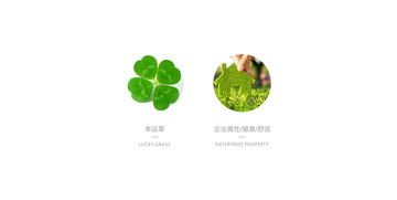四叶草剧场家具有什么用